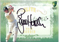 Brad Haddin