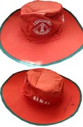 hemal