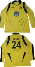 vogesa